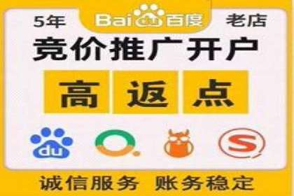 sem推广竞价的智慧与策略：多维度成功案例分析